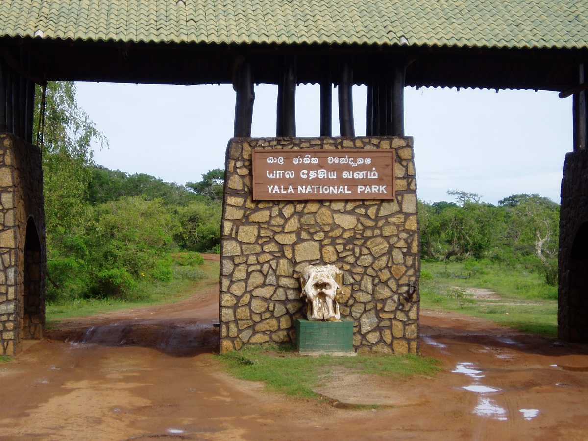 Yala National Park